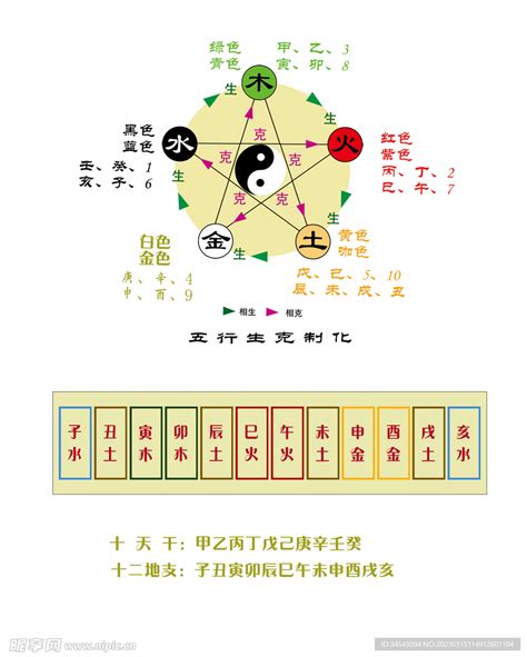 地支阴阳|十天干十二地支对应五行 十天干十二地支五行阴阳属性